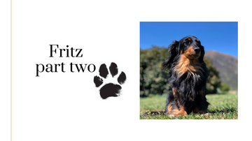 Fritz - part two