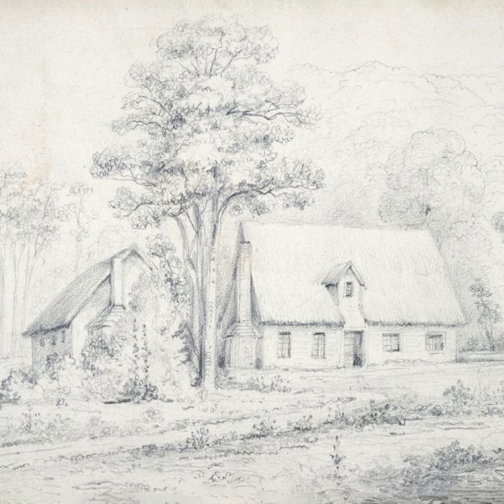 Hawkshead Homestead Swainson Sketch The Label